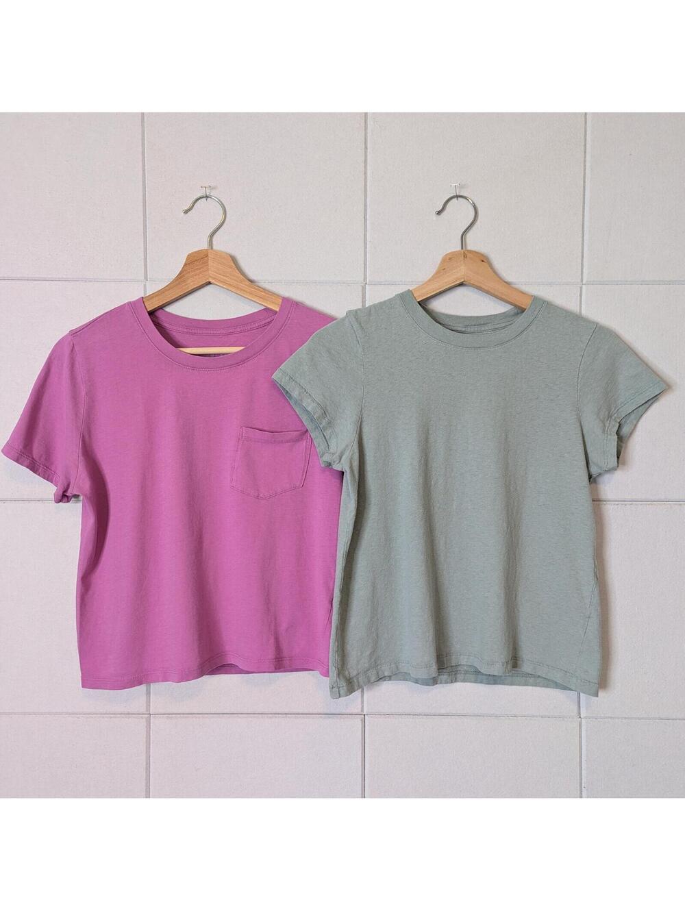 Bundle of 2 Everlane crew neck cotton color tees